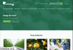 Sites similar to anorel.net