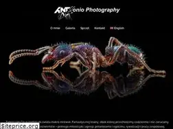 Sites similar to ant-photo.eu