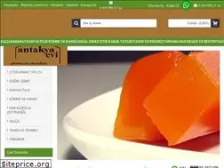 Sites similar to antakyadangelsin.com