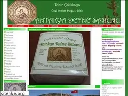 Sites similar to antakyadefnesabunu.com