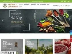 Sites similar to antakyakoyunden.com