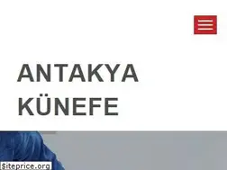 Sites similar to antakyakunefe.com