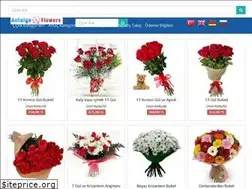 Sites similar to antalya-flowers.com