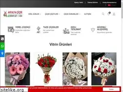 Sites similar to antalyacicek.com