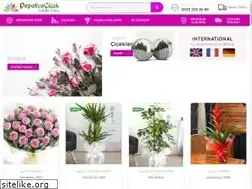 Sites similar to antalyaciceksarayi.com