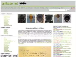 Sites similar to antbase.net