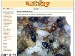 Sites similar to antday.com
