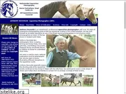Sites similar to anthony-reynolds.net