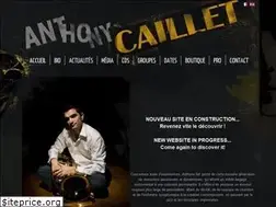 Sites similar to anthonycaillet.com