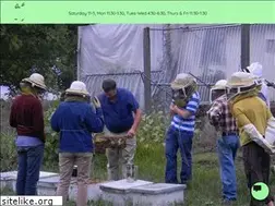 Sites similar to anthonysbeehive.com
