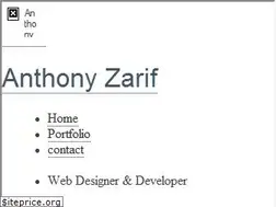 Sites similar to anthonyzarif.com
