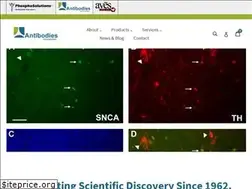Sites similar to antibodiesinc.com