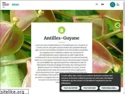 Sites similar to antilles.inra.fr