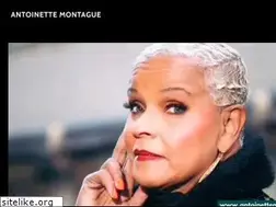 Sites similar to antoinettemontague.com