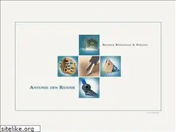 Sites similar to antoniedenridder.nl