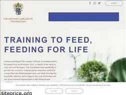 Sites similar to antoniocarlucciofoundation.org