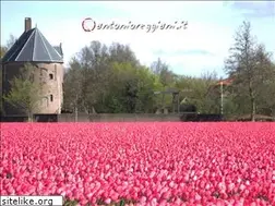 Sites similar to antonioreggiani.it