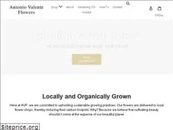 Sites similar to antoniovalenteflowers.com