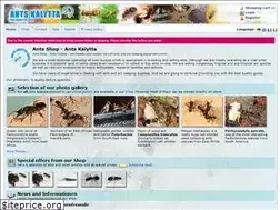 Sites similar to ants-kalytta.com