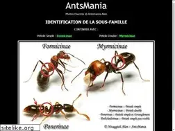 Sites similar to antsmania.com