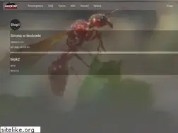 Sites similar to antsofpoland.eu.org