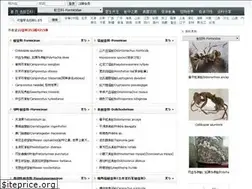 Sites similar to antspic.com