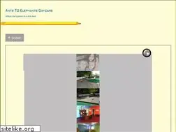 Sites similar to antstoelephants.net
