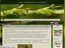 Sites similar to antvid.org
