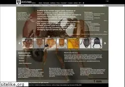 Sites similar to antweb.org