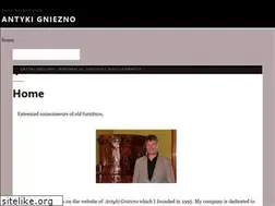 Sites similar to antyki.gniezno.pl