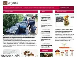Sites similar to anyost.ru