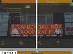Sites similar to anzerbali.com.tr