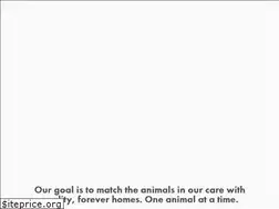 Sites similar to aohrescue.org