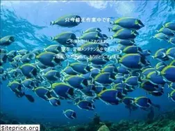 Sites similar to aozora39.com