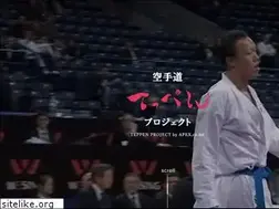 Sites similar to apex-karate.com