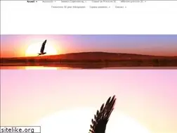 Sites similar to apf-somatic-experiencing.com