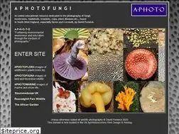 Sites similar to aphotofungi.com