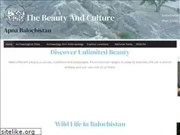 Sites similar to apnabalochistan.com