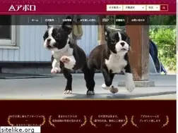 Sites similar to aporo.cc