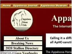 Sites similar to appaloosa.com
