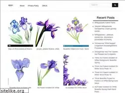 Sites similar to appc.me