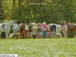 Sites similar to applewoodfarmsnc.com