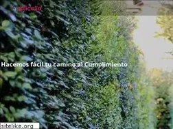 Sites similar to applicalia.com