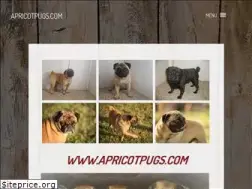 Sites similar to apricotpugs.com