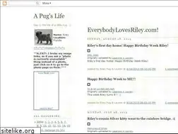 Sites similar to apugslife.blogspot.com
