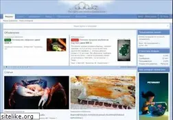 Sites similar to aqa.kz