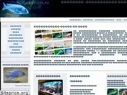 Sites similar to aqarium.ru