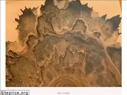 Sites similar to aqhardwoodscom.com