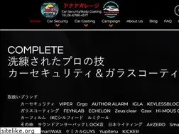 Sites similar to aqua-garage.com