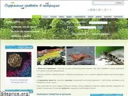 Sites similar to aqua-shrimp.ru